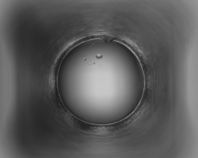 X0000102371167200808011507