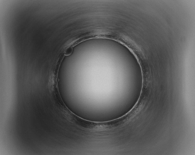 X0000102371169200808011507