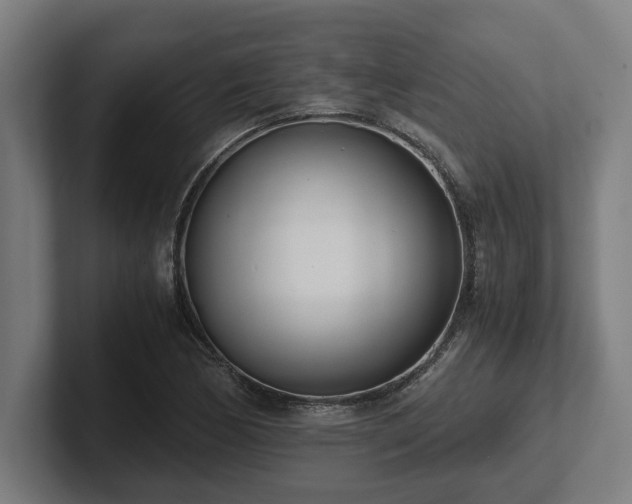 X0000102371170200808011507