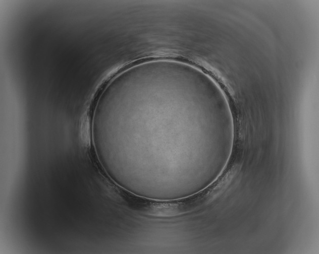 X0000102371171200808011507