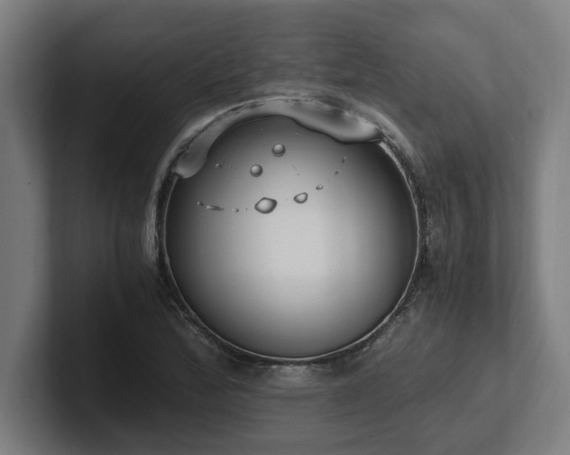 X0000102371172200808011507