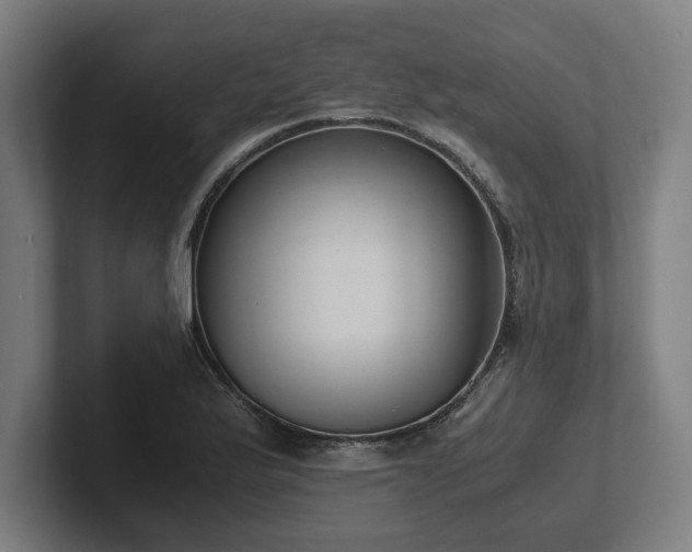 X0000102371175200808011507