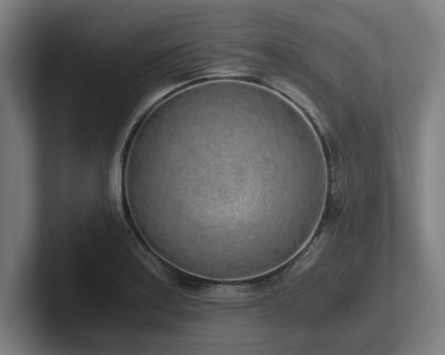 X0000102371179200808011507