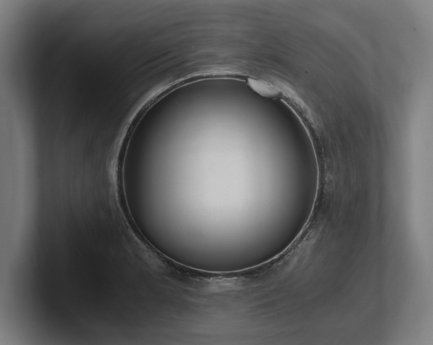 X0000102371181200808011507