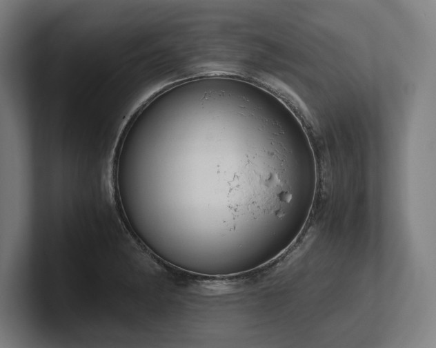 X0000102371182200808011507