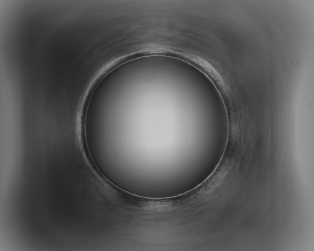 X0000102371183200808011507