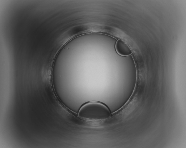 X0000102371185200808011507