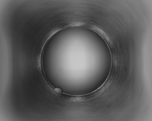 X0000102371186200808011507