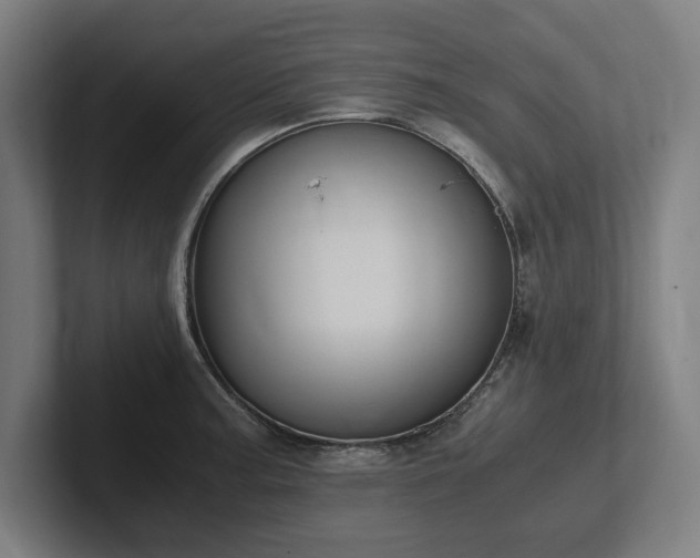 X0000102371187200808011507