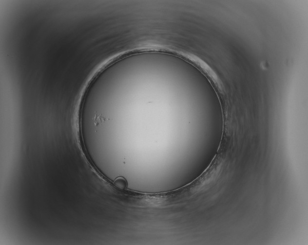 X0000102371191200808011507