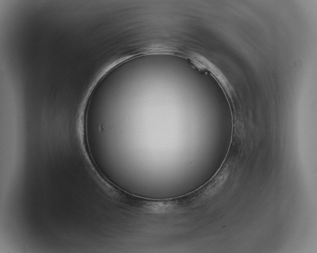X0000102371195200808011507