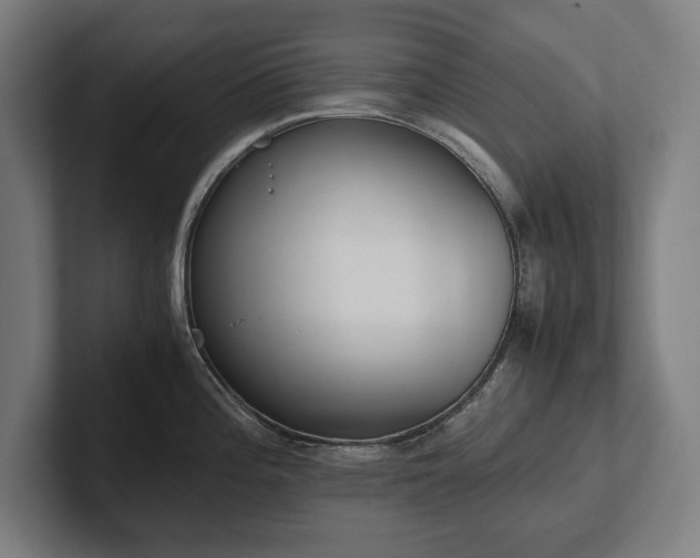 X0000102371196200808011507