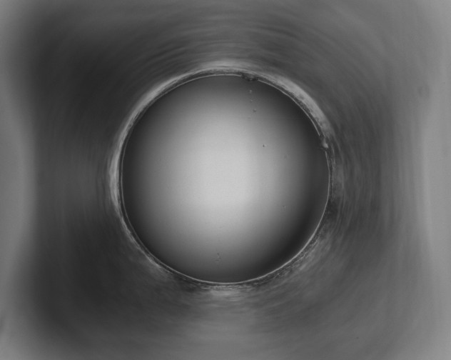 X0000102371199200808011507