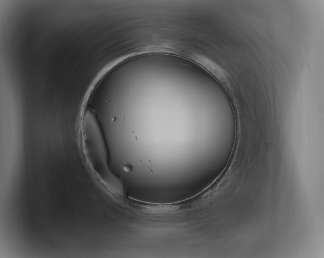 X0000102371200200808011507