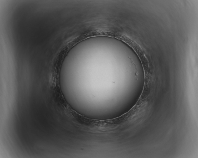 X0000102371207200808011506