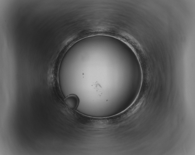 X0000102371210200808011506
