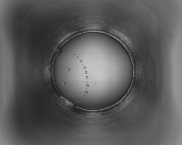 X0000102371212200808011506