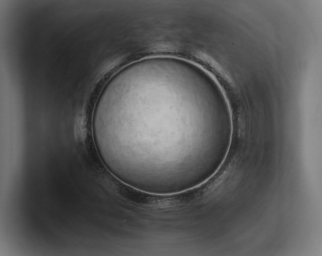 X0000102371213200808011506