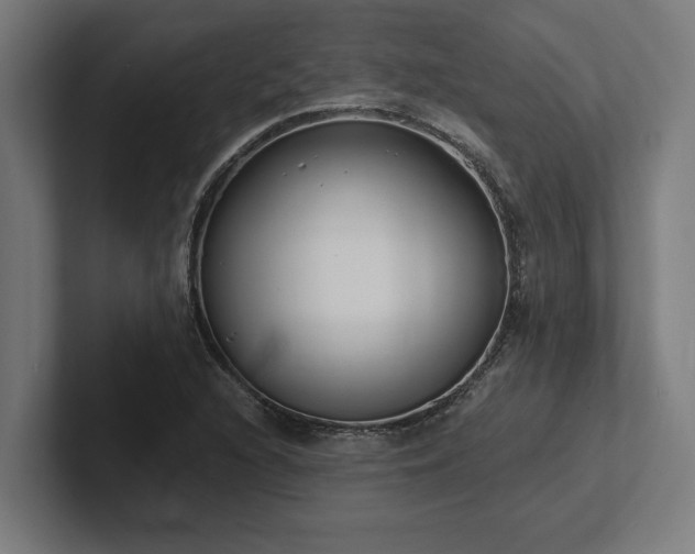 X0000102371216200808011506
