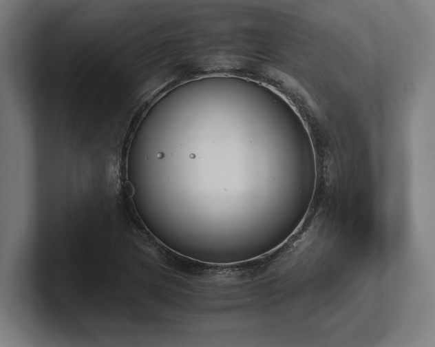 X0000102371217200808011506