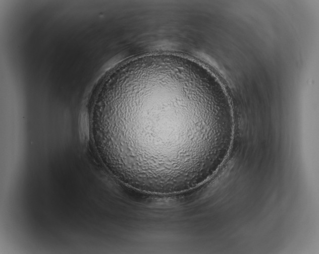 X0000102371219200808011506