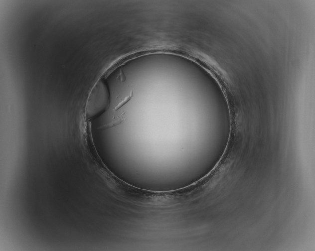 X0000102371220200808011506