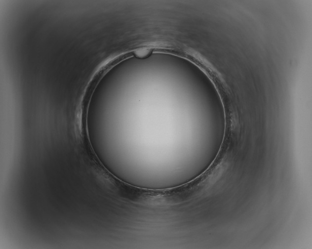 X0000102371222200808011506