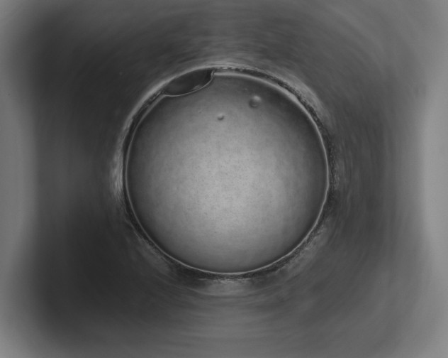 X0000102371224200808011506