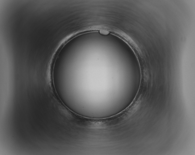 X0000102371230200808011506