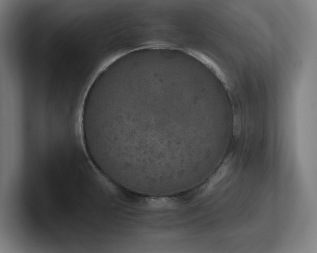X0000102371231200808011506