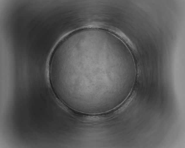 X0000102371232200808011506