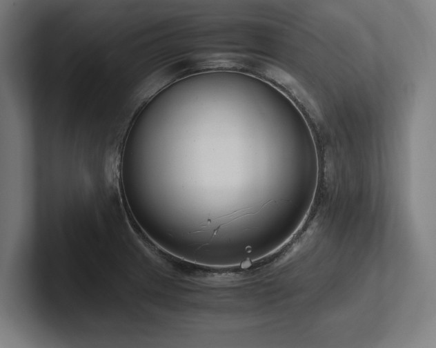 X0000102371233200808011506