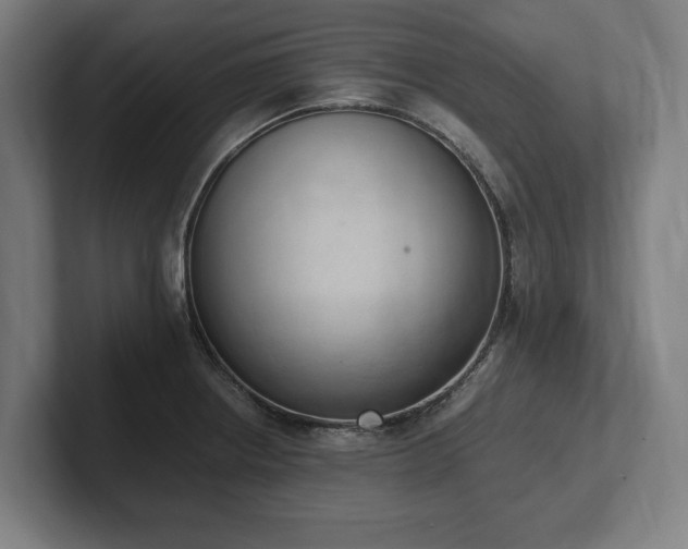 X0000102371234200808011506