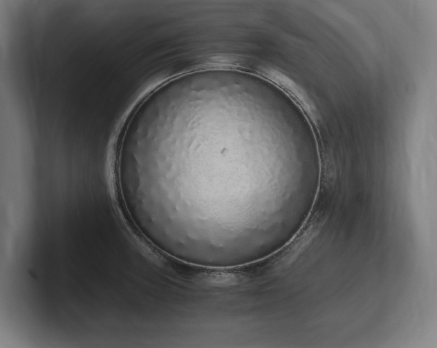 X0000102371235200808011506