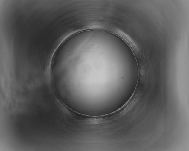 X0000102371236200808011506