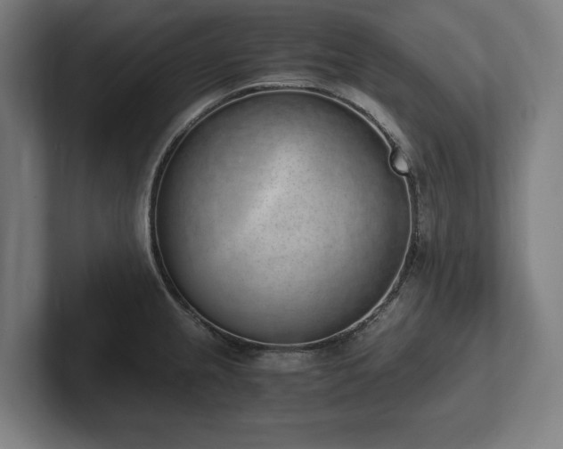 X0000102371237200808011506
