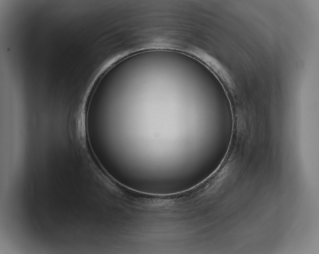 X0000102371238200808011507