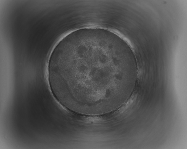 X0000102371239200808011507