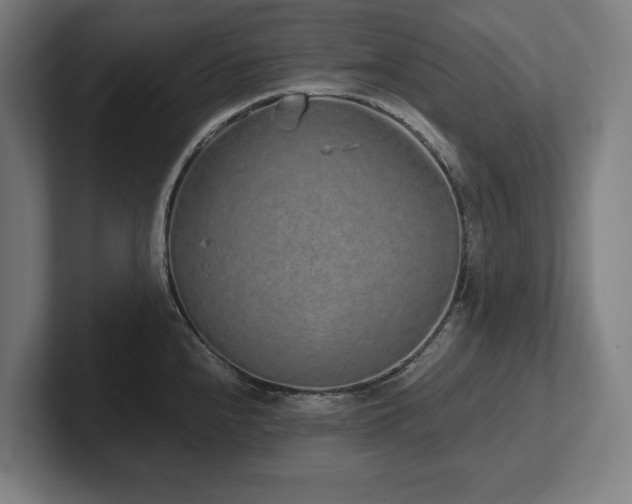X0000102371240200808011507