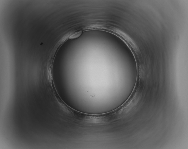 X0000102371241200808011507