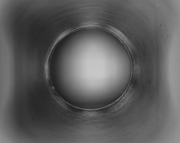 X0000102371242200808011507