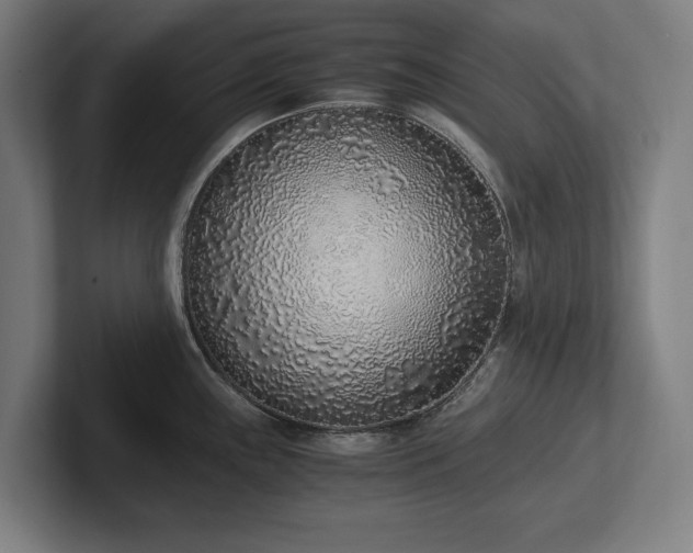 X0000102371243200808011507