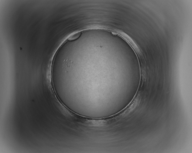 X0000102371244200808011507