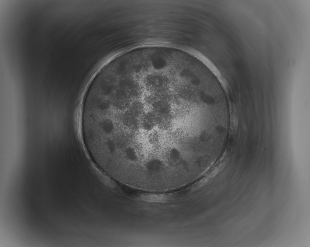 X0000102371245200808011507