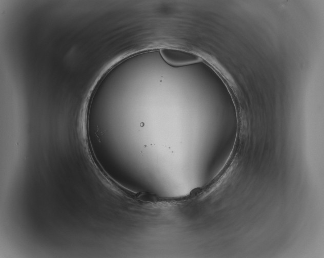 X0000102371246200808011507