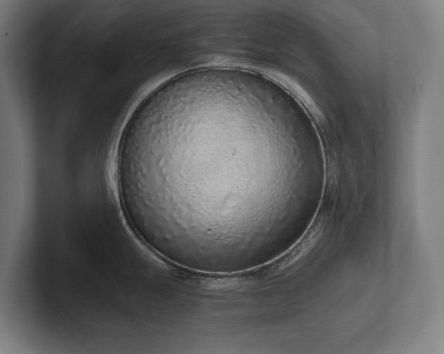 X0000102371247200808011507