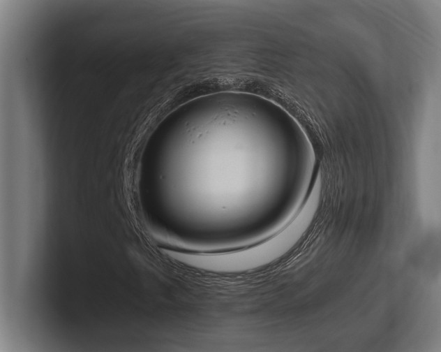 X0000102371249200808011506