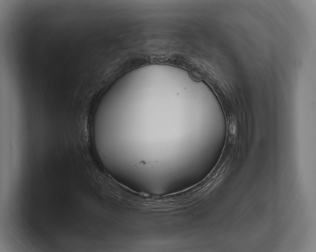 X0000102371252200808011506