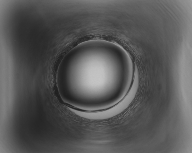 X0000102371253200808011506