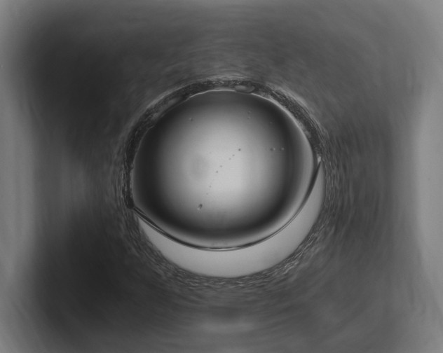 X0000102371255200808011506